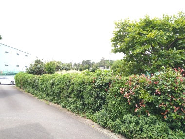 木間ケ瀬　建築条件なし売地