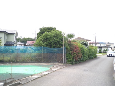 画像5