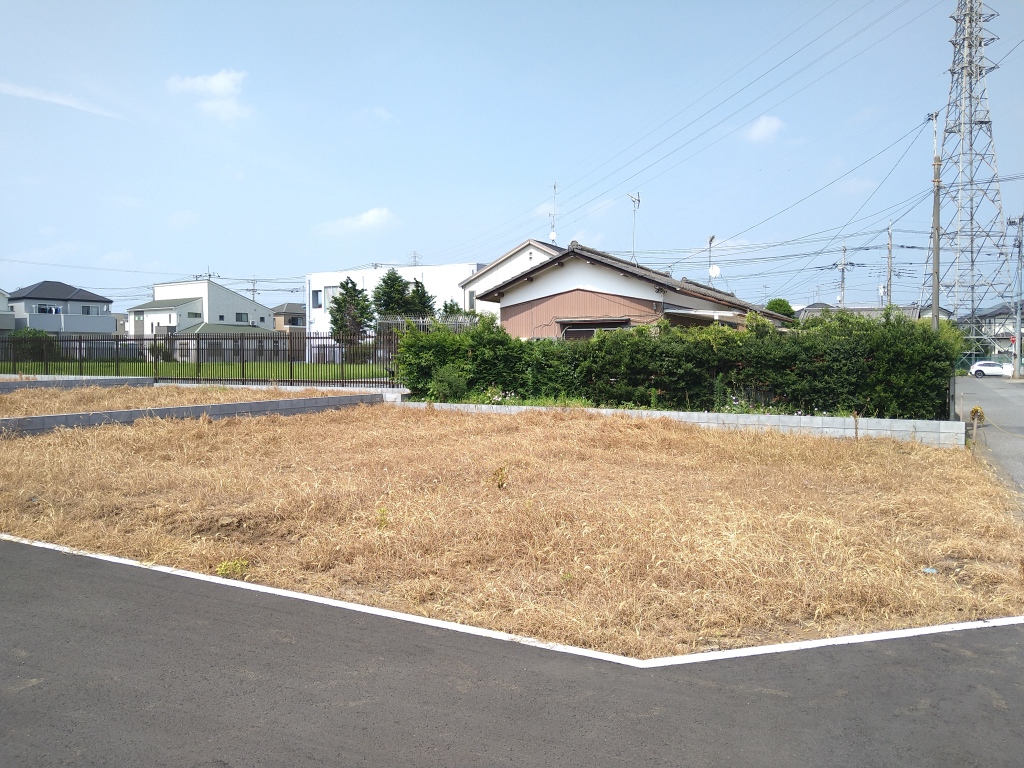 画像6