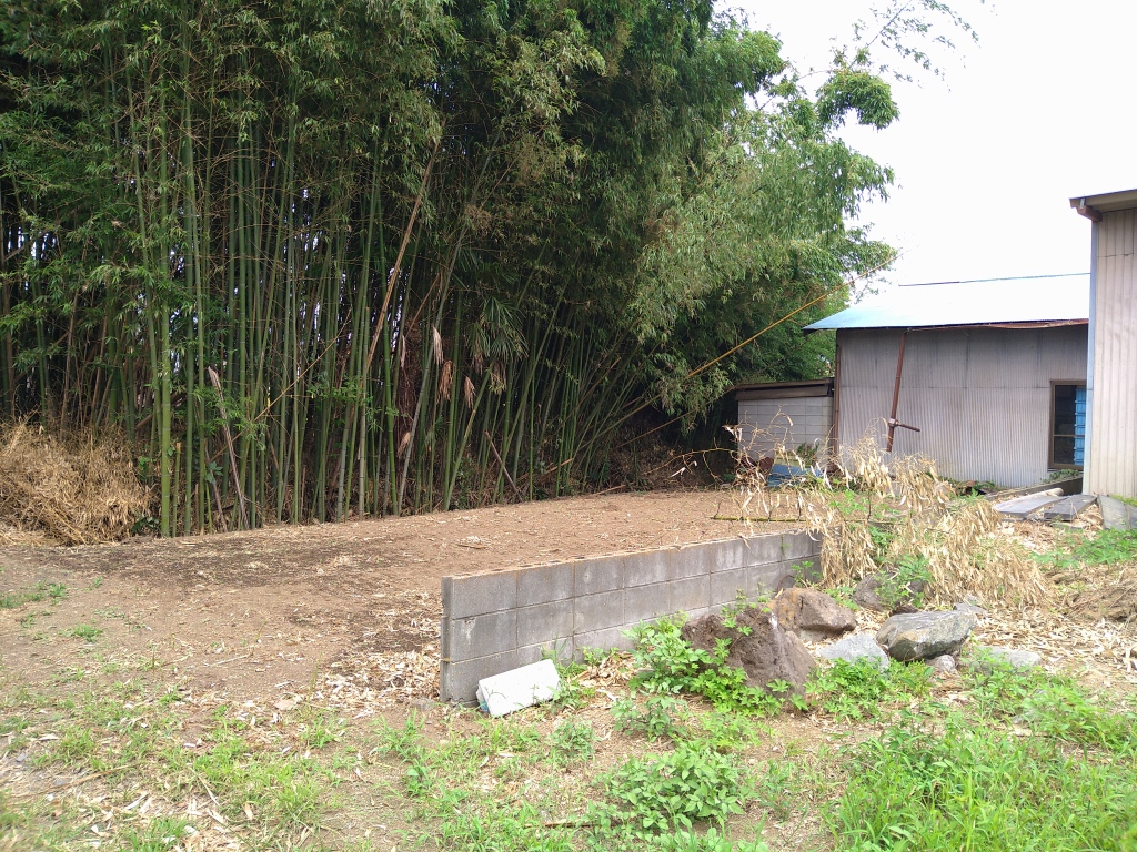 画像4