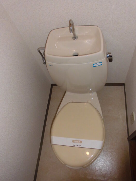 画像7
